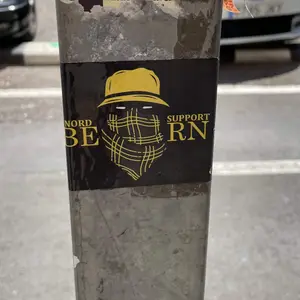BSC Young Boys sticker