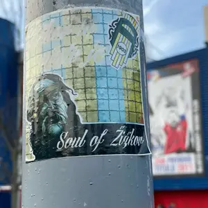 FK Viktoria Žižkov sticker