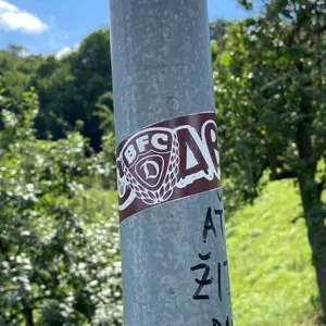BFC Dynamo Berlin football sticker #2334 found in this city