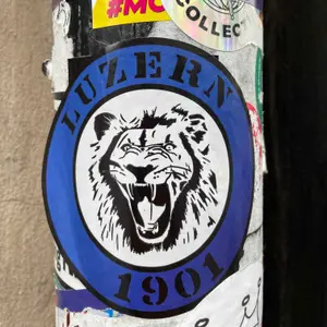 FC Luzern football sticker #2925 found in this city