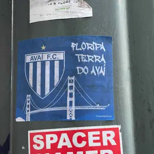 Avaí FC football sticker #3976 found in this city