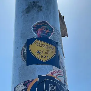 FK Željezničar Sarajevo football sticker #4428 found in this city