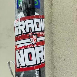 FC Sion football sticker #3530 found in this city