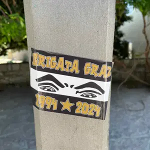 SK Sturm Graz football sticker #2482 found in this city