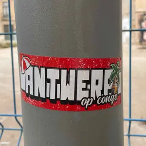 Royal Antwerp football sticker #3063 found in this city