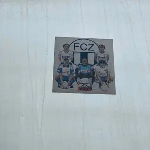 FC Zurich football sticker #2606 found in this city
