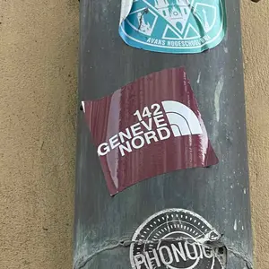 Servette FC football sticker #3262 found in this city