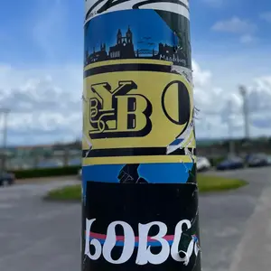 BSC Young Boys football sticker #2224 found in this city