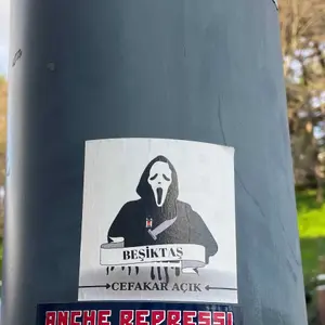Besiktas JK football sticker #3463 found in this city