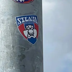 FCSB football sticker #3842 found in this city