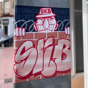 SK Brann football sticker #3154 found in this city
