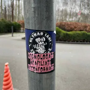 FC Politehnica Iași street sticker #3714 -- Romania football