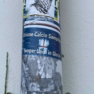 UC Sampdoria football sticker #2572 found in this city