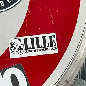 Lille OSC football sticker #4119 found in this city