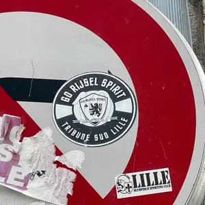 Lille OSC football sticker #4120 found in this city