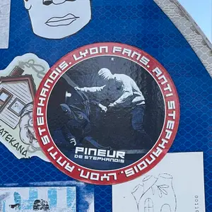 Olympique Lyonnais street sticker #4533 -- France football