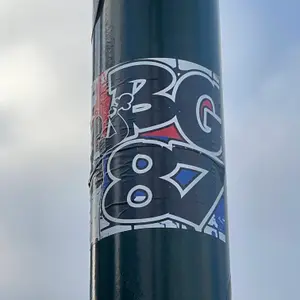 Olympique Lyonnais football sticker #4593 found in this city