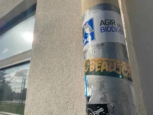 Nantes football sticker #3178 found in this city