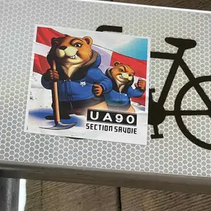 AJ Auxerre football sticker #3538 found in this city