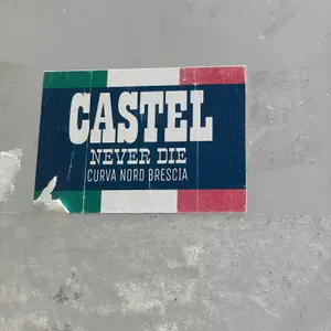 Brescia Calcio football sticker #2624 found in this city