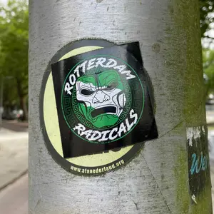 Feyenoord football sticker #2899 found in this city
