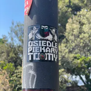 Miedź Legnica football sticker #4406 found in this city