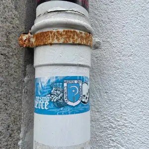 RC Celta de Vigo street sticker #2113 -- Spain football