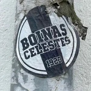 RC Celta de Vigo street sticker #2245 -- Spain football