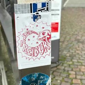 🇩🇪 SC Freiburg
