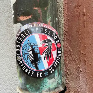 🇩🇪 SC Freiburg