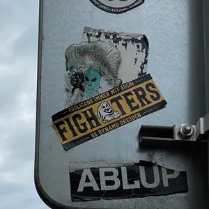 Dynamo Dresden football sticker #3261 found in this city