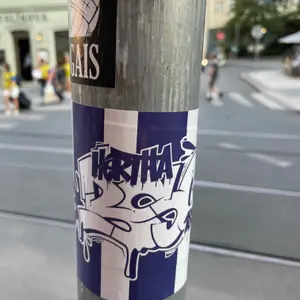 Hertha BSC football sticker #2448 found in this city