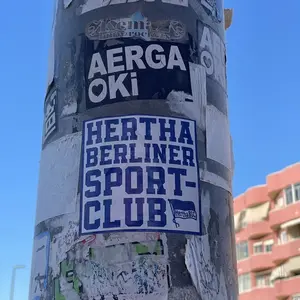 🇩🇪 Hertha BSC