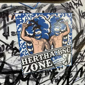Hertha BSC street sticker #2558 -- Germany football