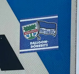 Hertha BSC football sticker #3609 found in this city