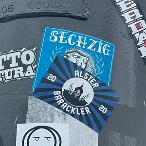 SV Waldhof Mannheim football sticker #2696 found in this city