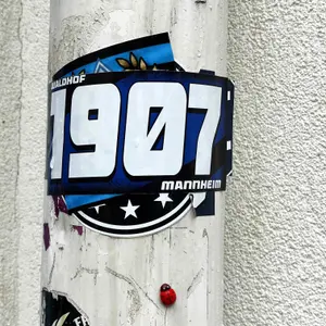 SV Waldhof Mannheim football sticker #3592 found in this city