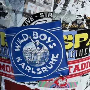 Karlsruher SC football sticker #2838 found in this city