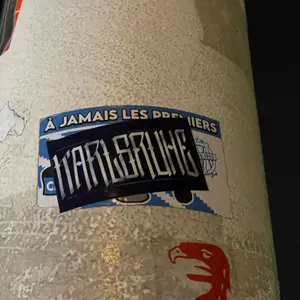 Karlsruher SC football sticker #3460 found in this city