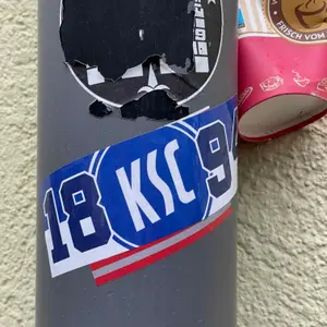 Karlsruher SC football sticker #3601 found in this city
