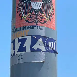 Karlsruher SC football sticker #4366 found in this city