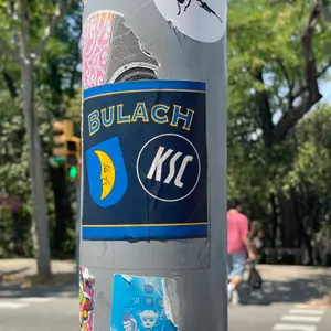 Karlsruher SC football sticker #4381 found in this city
