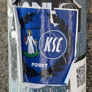 Karlsruher SC football sticker #4740 found in this city