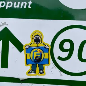 Eintracht Braunschweig street sticker #2758 -- Germany football