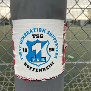 TSG 1899 Hoffenheim football sticker #2399 found in this city