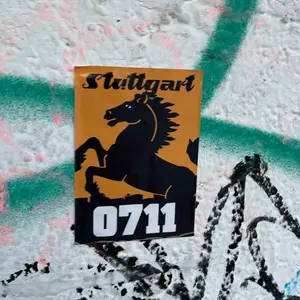 🇩🇪 VfB Stuttgart