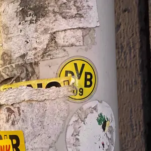 Borussia Dortmund football sticker #3411 found in this city