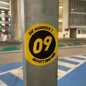 Borussia Dortmund football sticker #3711 found in this city