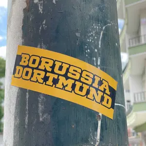 Borussia Dortmund football sticker #3900 found in this city