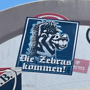 MSV Duisburg football sticker #4351 found in this city